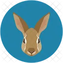 Hase  Symbol