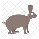 Hase  Symbol