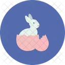 Hase  Symbol