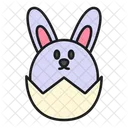 Hase  Symbol