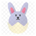 Hase  Symbol