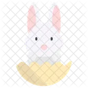 Hase  Symbol