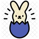 Hase  Symbol