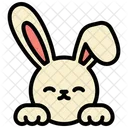 Hase  Symbol