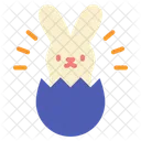 Hase  Symbol