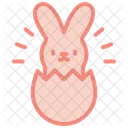 Hase  Symbol