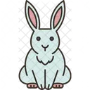 Hase  Symbol