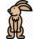 Hase  Symbol