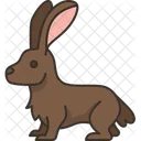 Hase  Symbol