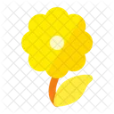 Flower Camomile Plant Icon