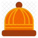 Beanie Hat Autumn Icon
