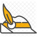 Hat  Icon