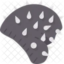 Hat  Icon