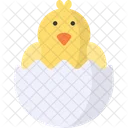 Hatch Egg Chick Icon