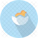 Hatched Chicken Hatchling Icon