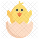 Hatched Chicken Eggs  Icon