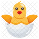 Hatching Chick Duckling Icon