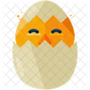 Hatching Chick Hen Icon