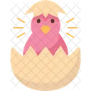 Hatching  Icon