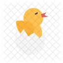 Hatching Chick Baby Chick Chicken Icon