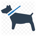 Haustiere Hunde Tiere Symbol