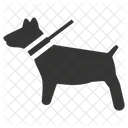 Haustiere Hunde Tiere Symbol