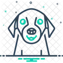 Haustier Zahm Hauslich Symbol
