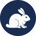 Haustier Hase Haustier Symbol