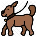 Mit Dem Hund Spazieren Gehen Haustier Hund Symbol