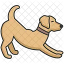 Haustier  Symbol