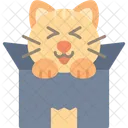 Haustier Box Katzchen Symbol