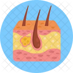 Haut  Symbol