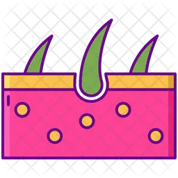 Haut  Symbol