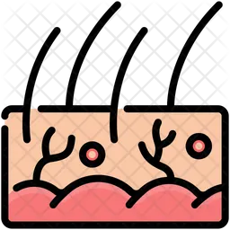Haut  Symbol