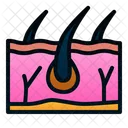 Haut Haare Mensch Symbol