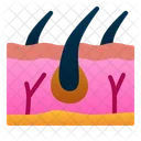 Haut Haare Mensch Symbol
