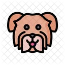 Havanese Dog Animal Icon
