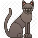 Havanna-Katze  Symbol