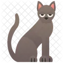 Havanna-Katze  Symbol