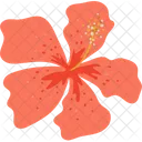 Hawaiianische Blume Blume Blute Icon