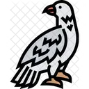 Hawk  Icon