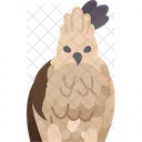 Hawk  Icon