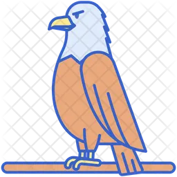 Hawk  Icon