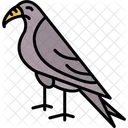 Hawk Eagle Bird Icon