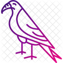Hawk Eagle Bird Icon