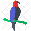 Hawk bird  Icon