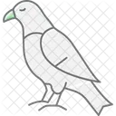 Hawk C Bird Icon