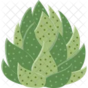 Haworthia Cactus Succulent Icon