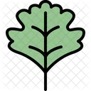 Hawthorn leaf  Icon