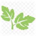 Hawthorn Plant Tree Icon